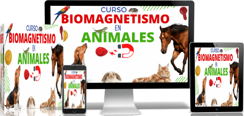 curso online terapia con imanes animales y mascotas