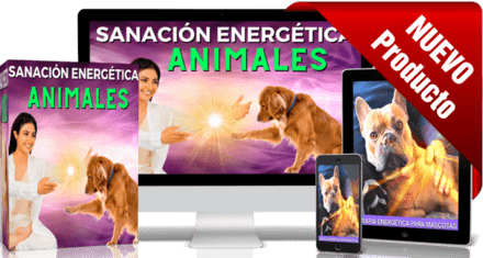 sanación energética con las manos en animales
